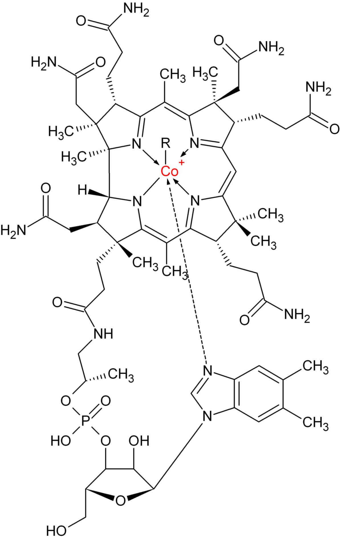 Cobalamine