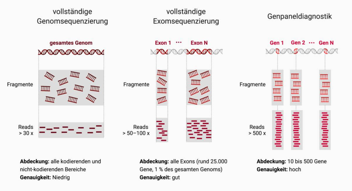 Sequenzierungsmethoden zur molekulargenetischen Untersuchung